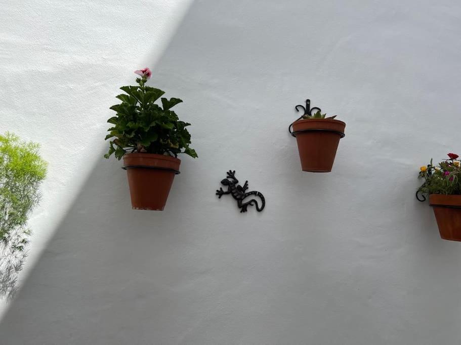 Casa Encantadora Olvera Zewnętrze zdjęcie